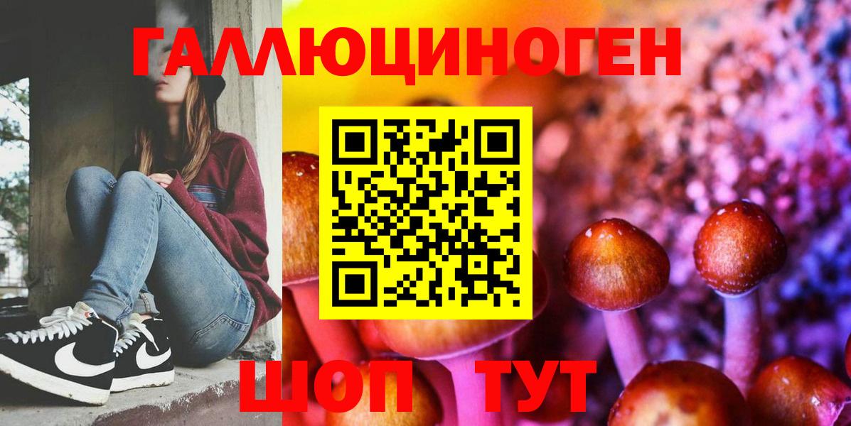 Псилоцибиновые грибы Psilocybine cubensis Абакан